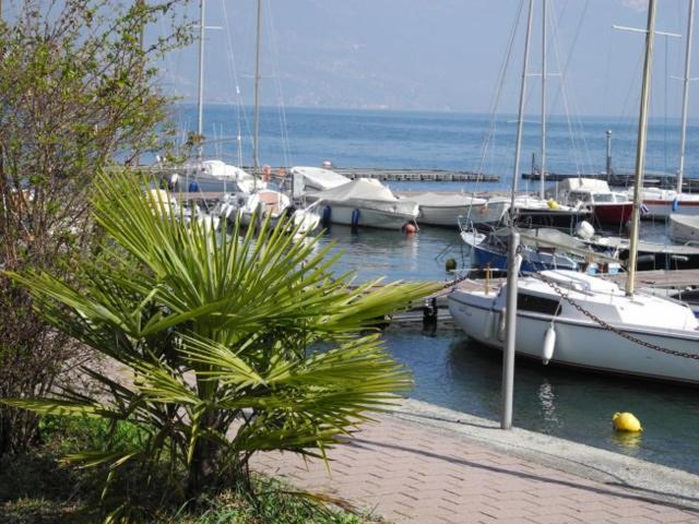 Casa Matisse Daire Pianello Del Lario Dış mekan fotoğraf